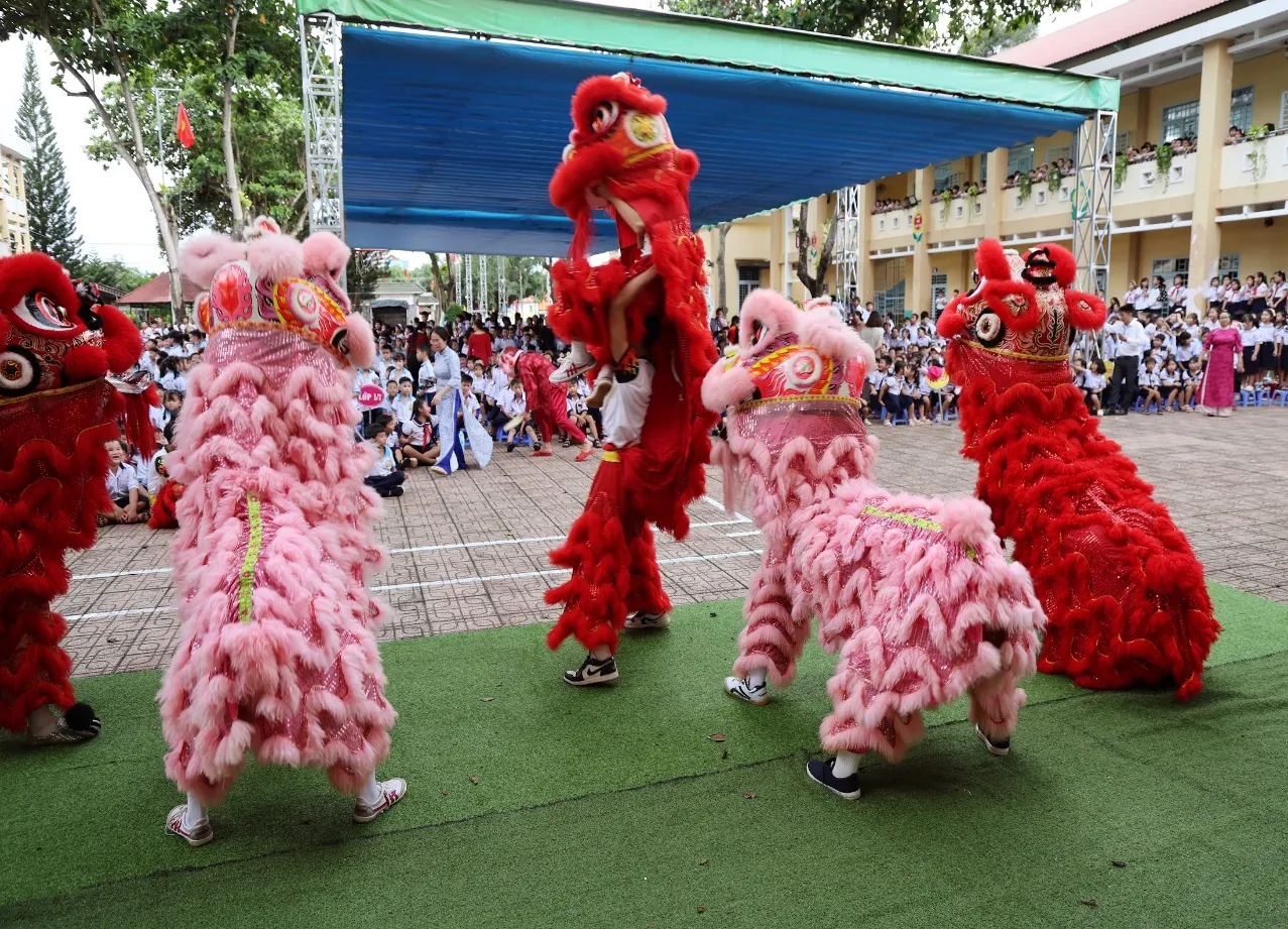 Ảnh bài viết