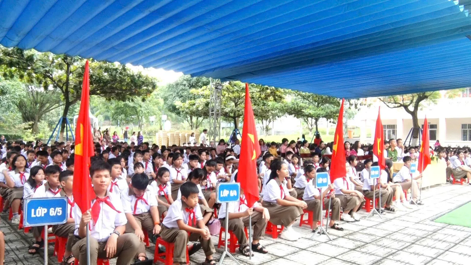 Ảnh bài viết
