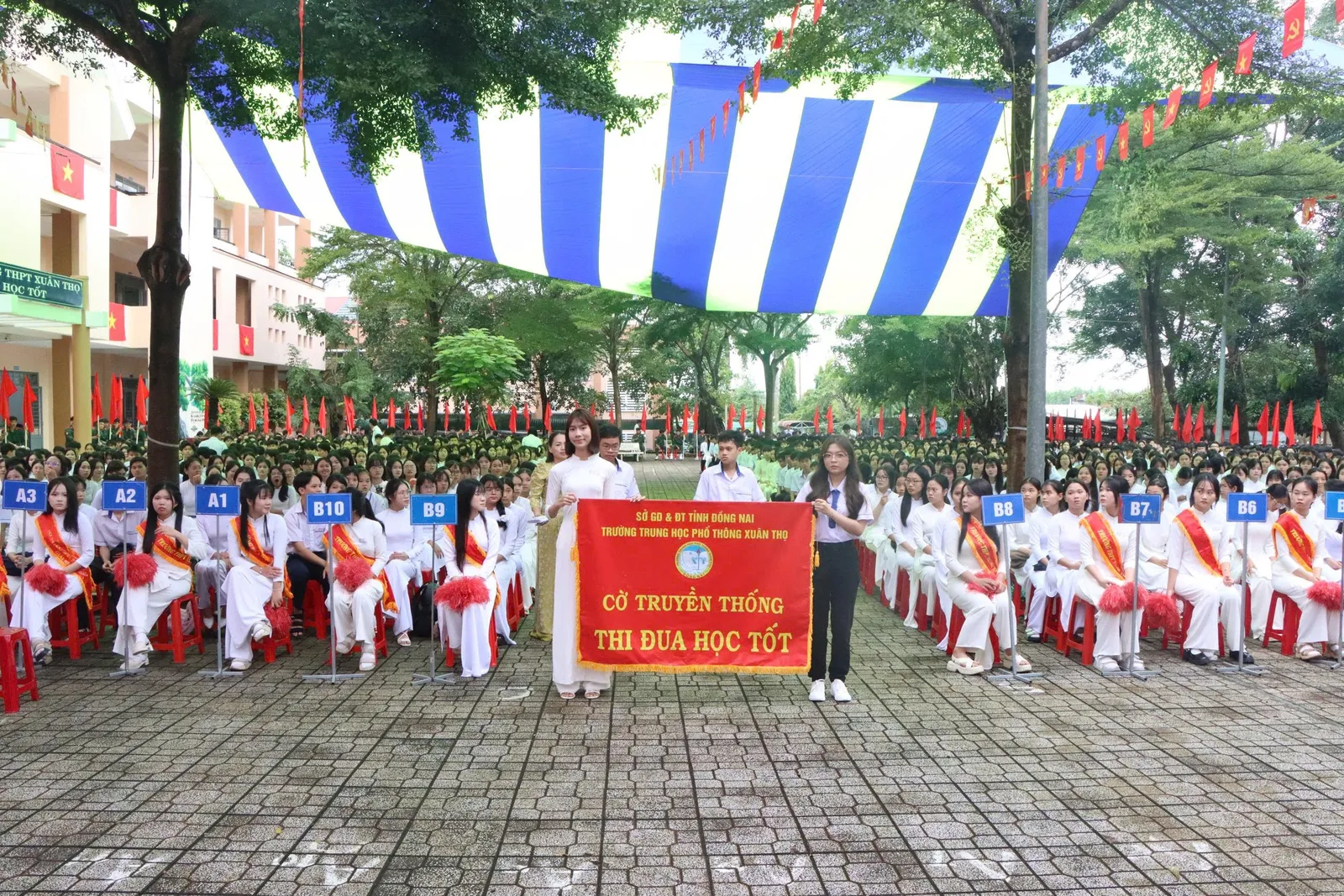 Ảnh bài viết