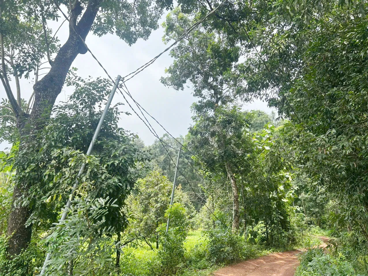 Ảnh bài viết