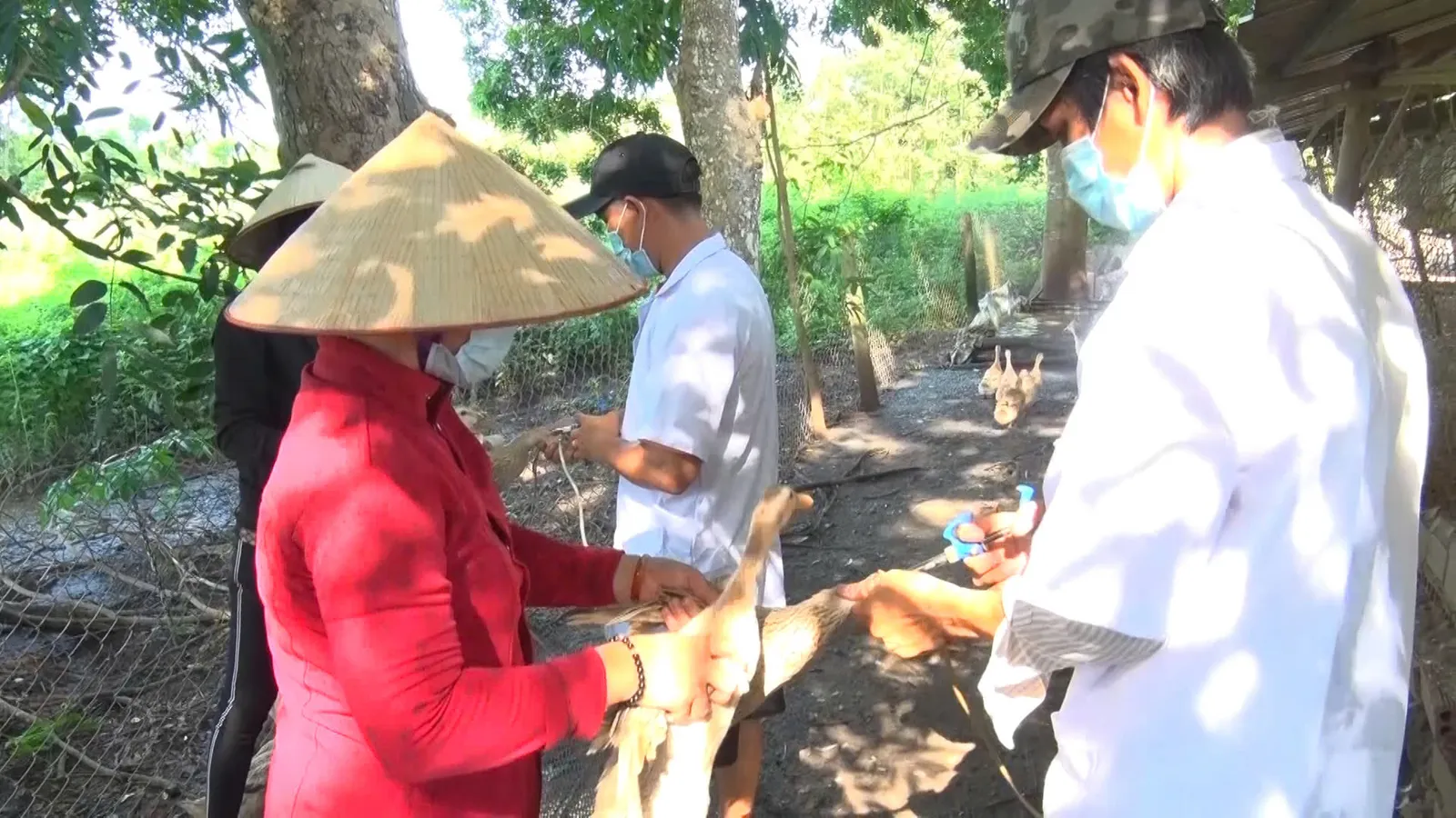 Xuân Lộc triển khai tiêm phòng các bệnh cho gia súc, gia cầm đợt 2 năm 2026